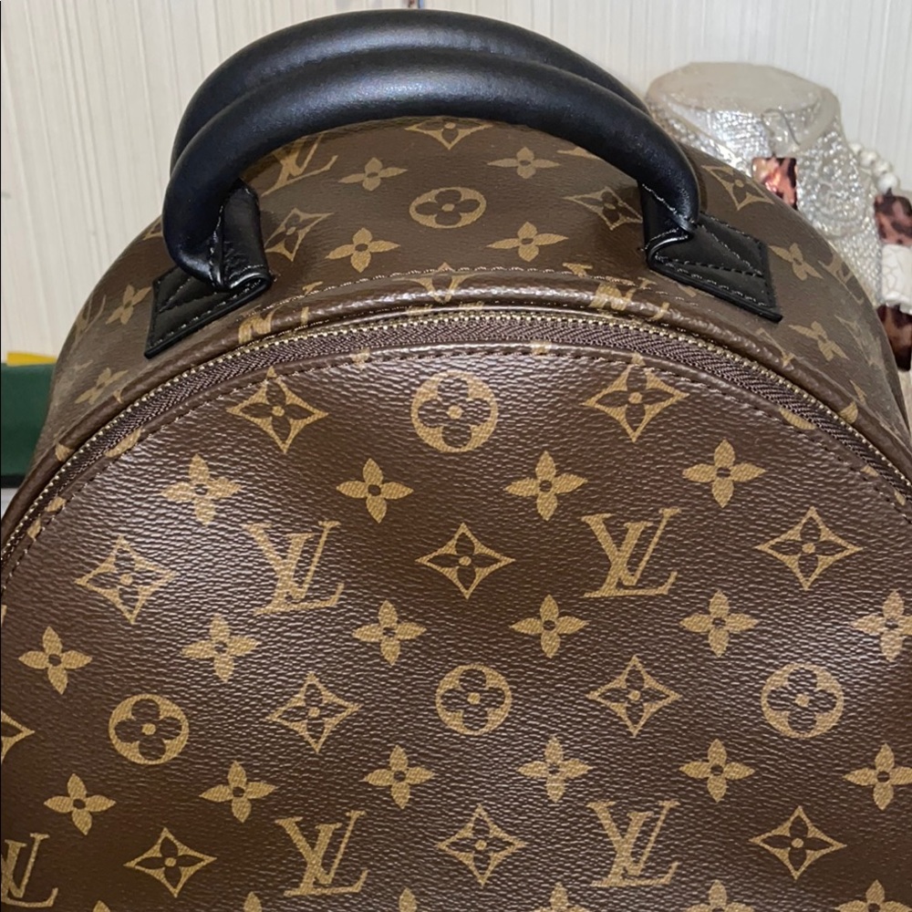 Louis Vuitton Brown Palm Spring Backpack - Picture 4 of 15